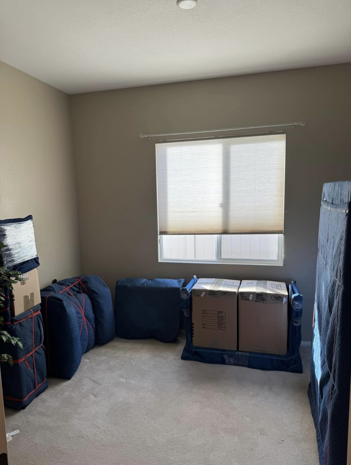Room with boxes and furniture wrapped and labeled for a residential move